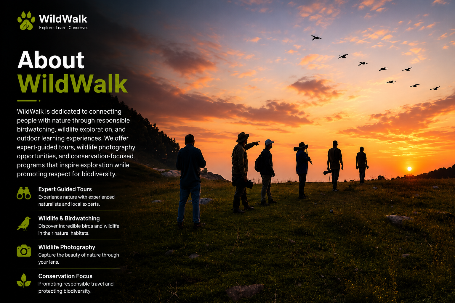 About WildWalk