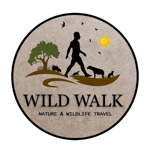 WildWalk