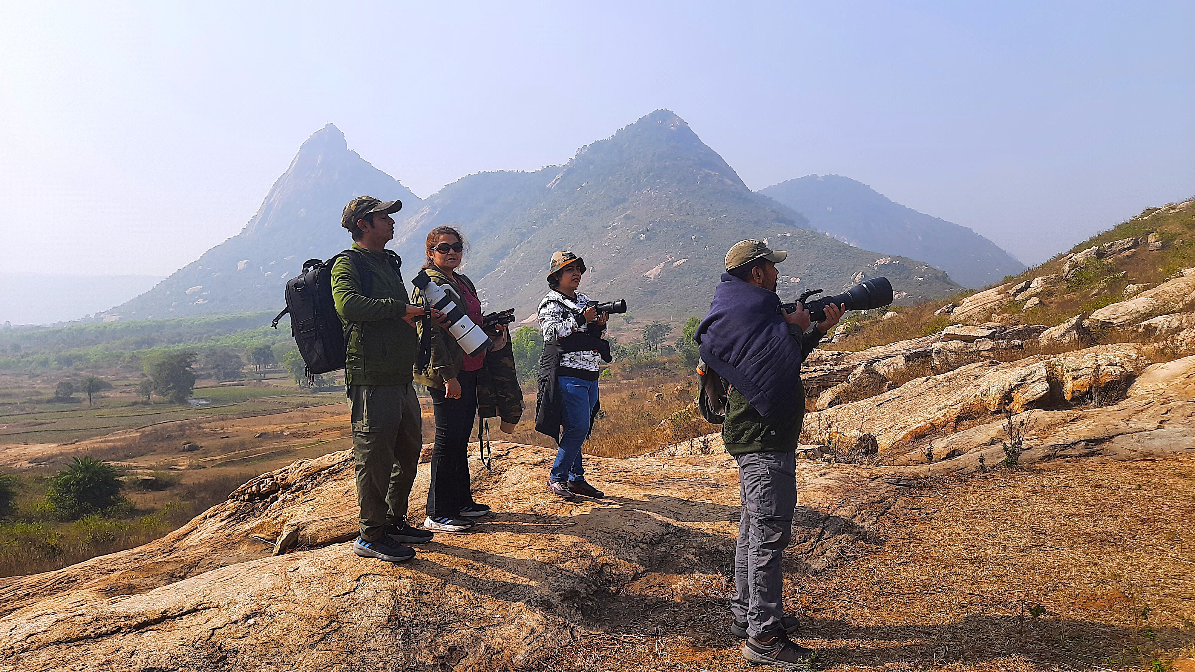 Bird Watching Tours